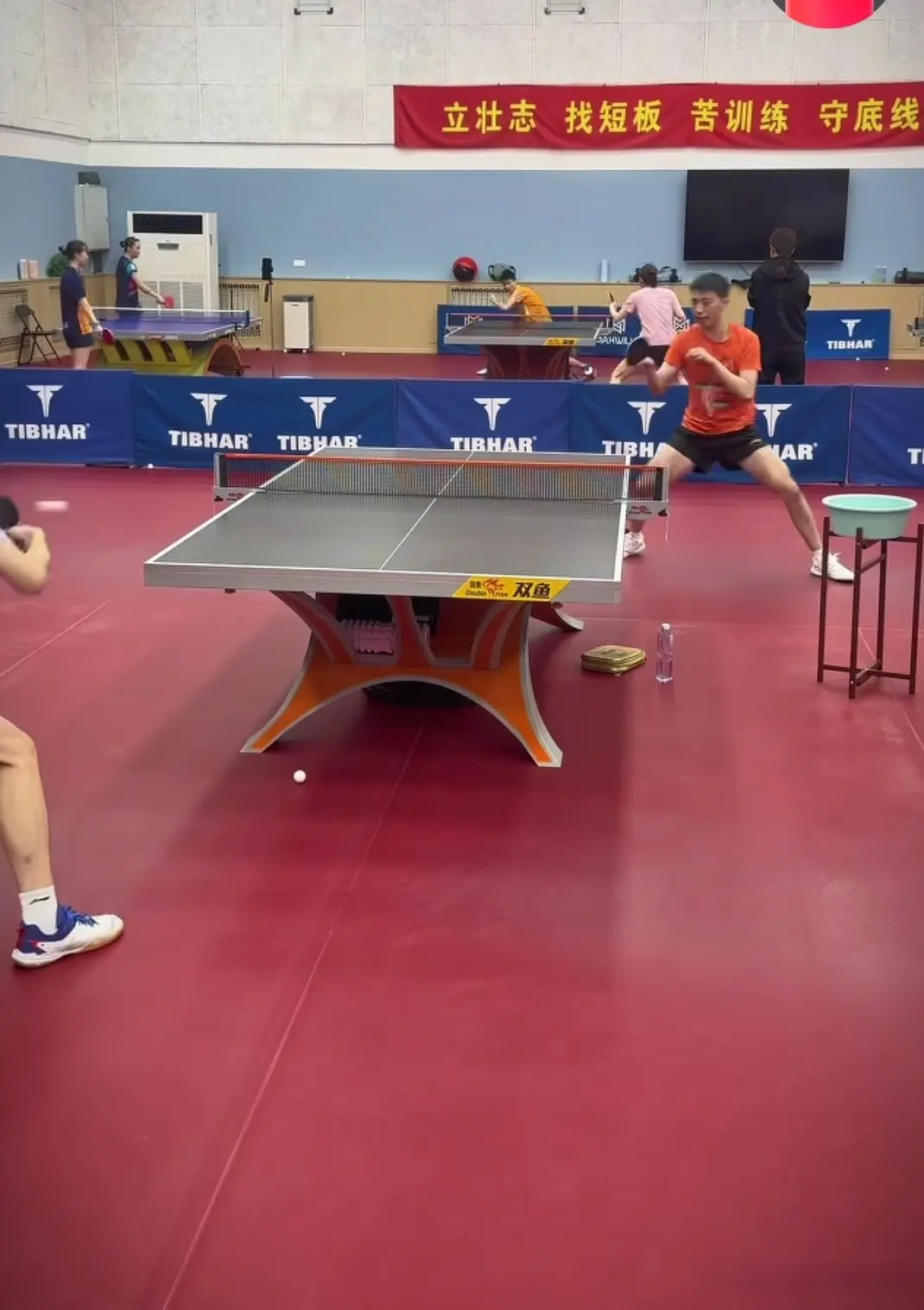 amp, tenan amp, tenan